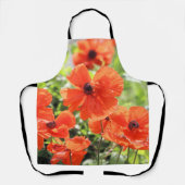 ケシ類 エプロン (正面)