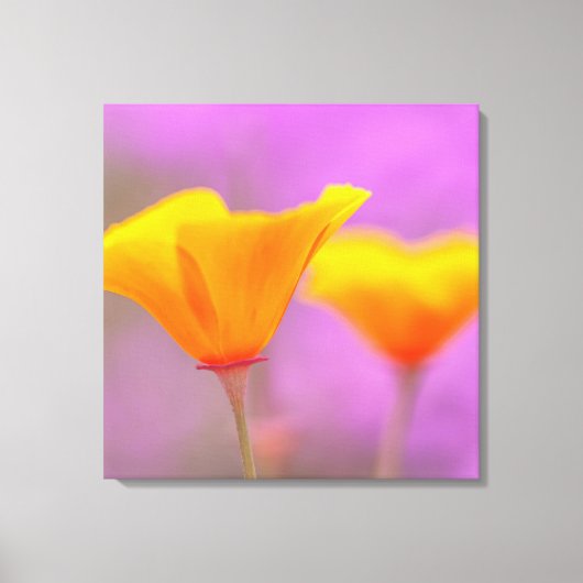 ケシ類 キャンバスプリント (正面)