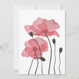 ケシ類 シーズンカード