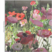 ケシ類 シール (正面)