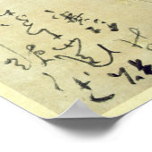 ケシ類 ポスター (角)