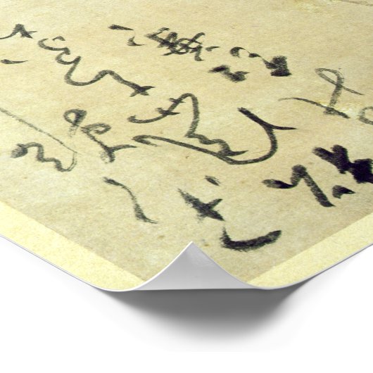 ケシ類 ポスター (角)