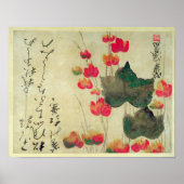 ケシ類 ポスター (正面)