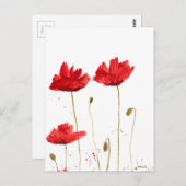 ケシ類 ポストカード (正面/裏面)