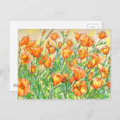 ケシ類 ポストカード (正面/裏面)