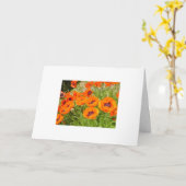 ケシ カード (黄色い花)