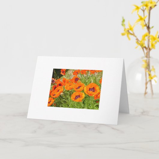 ケシ カード (黄色い花)