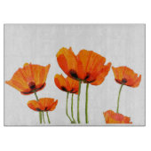 ケシ！ガラス切断板 カッティングボード (正面)