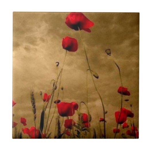 ケシ タイル (正面)