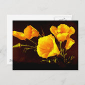 ケシ ポストカード (正面/裏面)