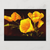 ケシ ポストカード (正面)