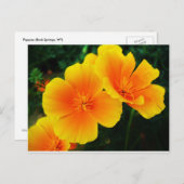 ケシ ポストカード (正面/裏面)