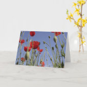 ケシ-挨拶状 カード (黄色い花)