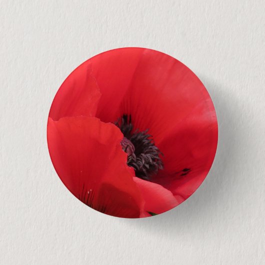 ケシ 缶バッジ (正面)