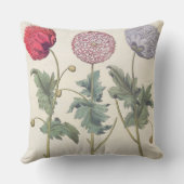 ケシ: 1.Papaver多重albumorisのrubicundis; クッション (裏面)