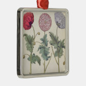 ケシ: 1.Papaver多重albumorisのrubicundis; メタルオーナメント (右)