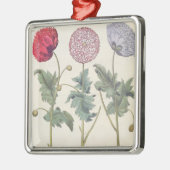 ケシ: 1.Papaver多重albumorisのrubicundis; メタルオーナメント (左)