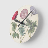 ケシ: 1.Papaver多重albumorisのrubicundis; ラウンド壁時計 (傾斜)