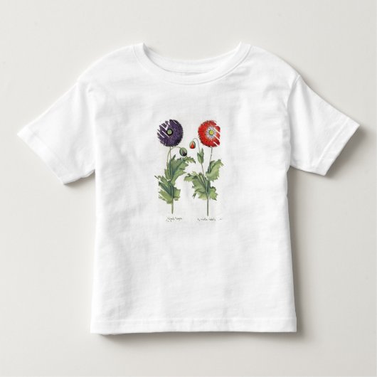 ケシ: 1.Papaver floreのmultipliciのincarnato; 2.P トドラーTシャツ (正面)