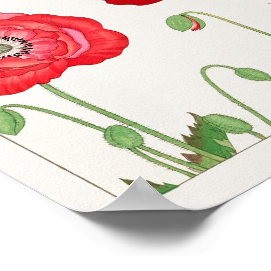 ケシby谷上湖南 ポスター (角)