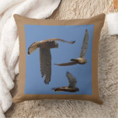 ケストレル鳥の写真のお客様。クッション クッション (ブランケット)