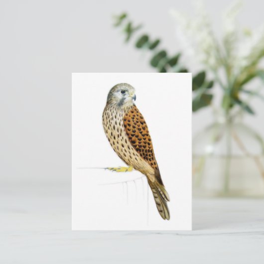 ケストレル2011 ポストカード (スタンド正面)