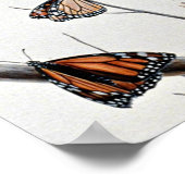 ケストレル ポスター (角)