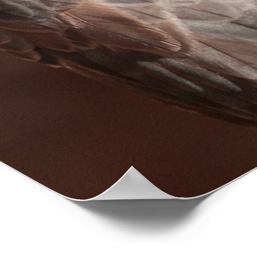 ケストレル ポスター (角)