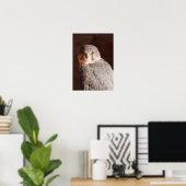 ケストレル ポスター (ホームオフィス)