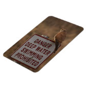 ケストレル マグネット (左側)