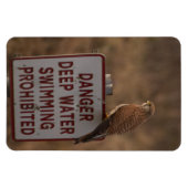 ケストレル マグネット (横)