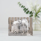 ケスホンズアットザゲート絵画ズ – オリジナルドッグアート ポストカード (スタンド正面)