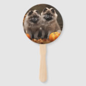 ケスホンドパピーオータムデライトカボチャ ハンドファン (正面)