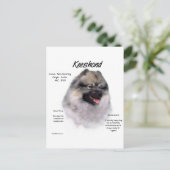 ケスホンドヒストリーデザイン ポストカード (スタンド正面)