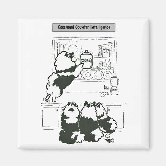 ケスホンド・カウンター・インテリジェンス マグネット (正面)