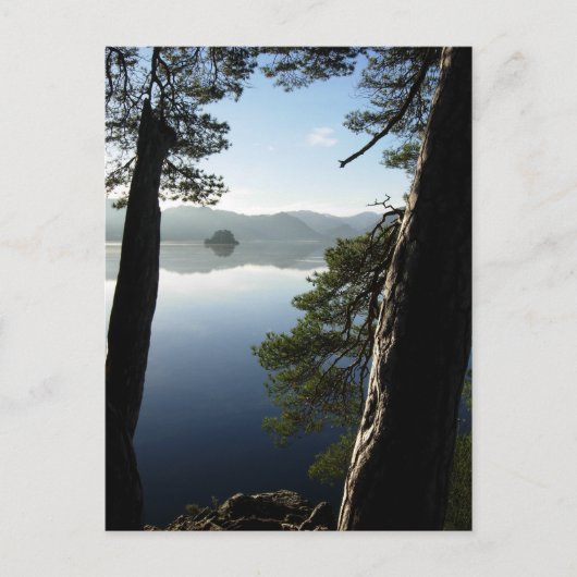 ケズウィックの松の間 ポストカード (正面)