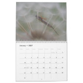 ケチだ!ハチとハチのカレンダー カレンダー (1月 2027)