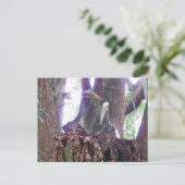 ケツァロトゥス – 恐学竜 – カード (スタンド正面)