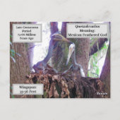 ケツァロトゥス – 恐学竜 – カード (裏面)