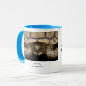 ケヅメリクガメ マグカップ (正面左)