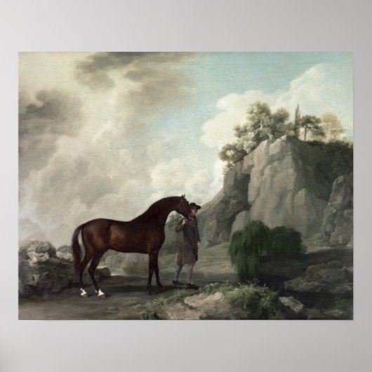 ケトとグルーミング ポスター (正面)