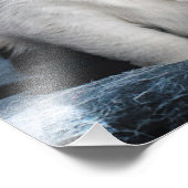 ケドルズ フォトプリント            (角)