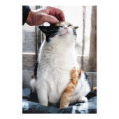 ケドルズ フォトプリント            (正面)