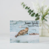 ケナイフィヨルド国立公園 ポストカード (スタンド正面)