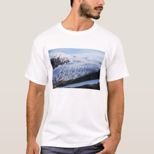 ケナイ・フィヨルド国立公園のエグジット氷河、 Tシャツ (正面)