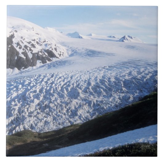 ケナイ・フィヨルド国立公園の氷河を出る タイル (正面)