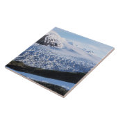 ケナイ・フィヨルド国立公園の氷河を出る タイル (側面)