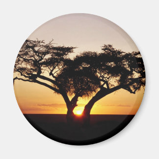 ケニアで マグネット