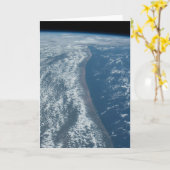 ケニアとソマリアのインディアン海海岸線。 カード (黄色い花)