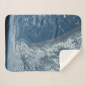 ケニアとソマリアのインディアン海海岸線。 シェルパブランケット (正面(横))